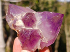 Polished Flower Amethyst Cluster x 1 From Ambatondrazaka, Madagascar