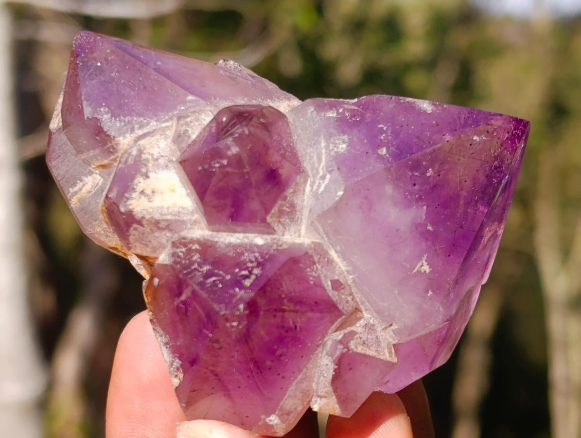 Polished Flower Amethyst Cluster x 1 From Ambatondrazaka, Madagascar