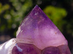 Polished Flower Amethyst Cluster x 1 From Ambatondrazaka, Madagascar