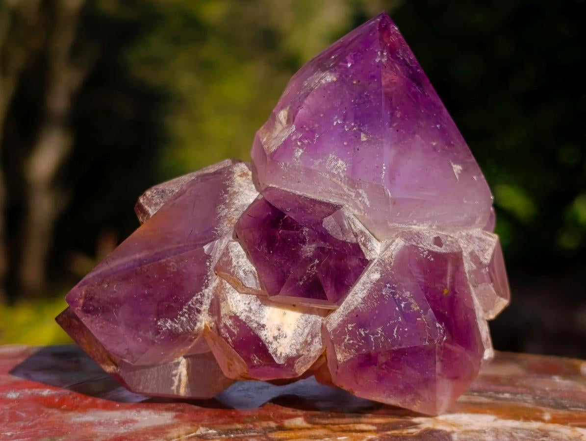 Polished Flower Amethyst Cluster x 1 From Ambatondrazaka, Madagascar
