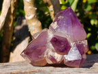 Polished Flower Amethyst Cluster x 1 From Ambatondrazaka, Madagascar