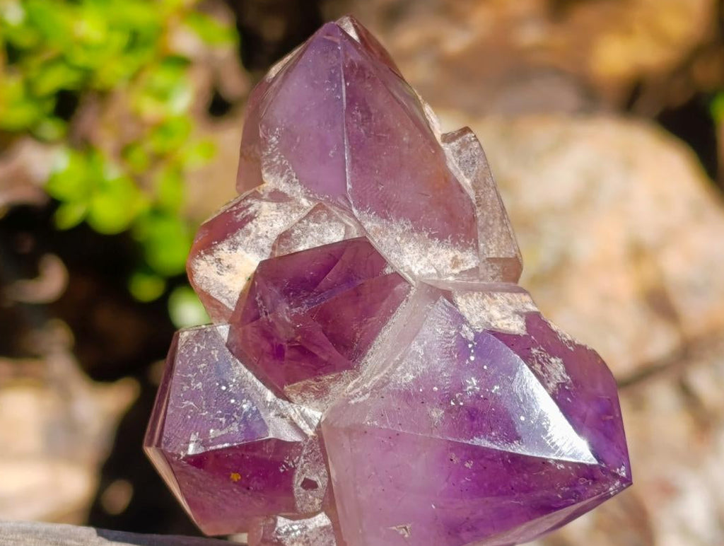 Polished Flower Amethyst Cluster x 1 From Ambatondrazaka, Madagascar