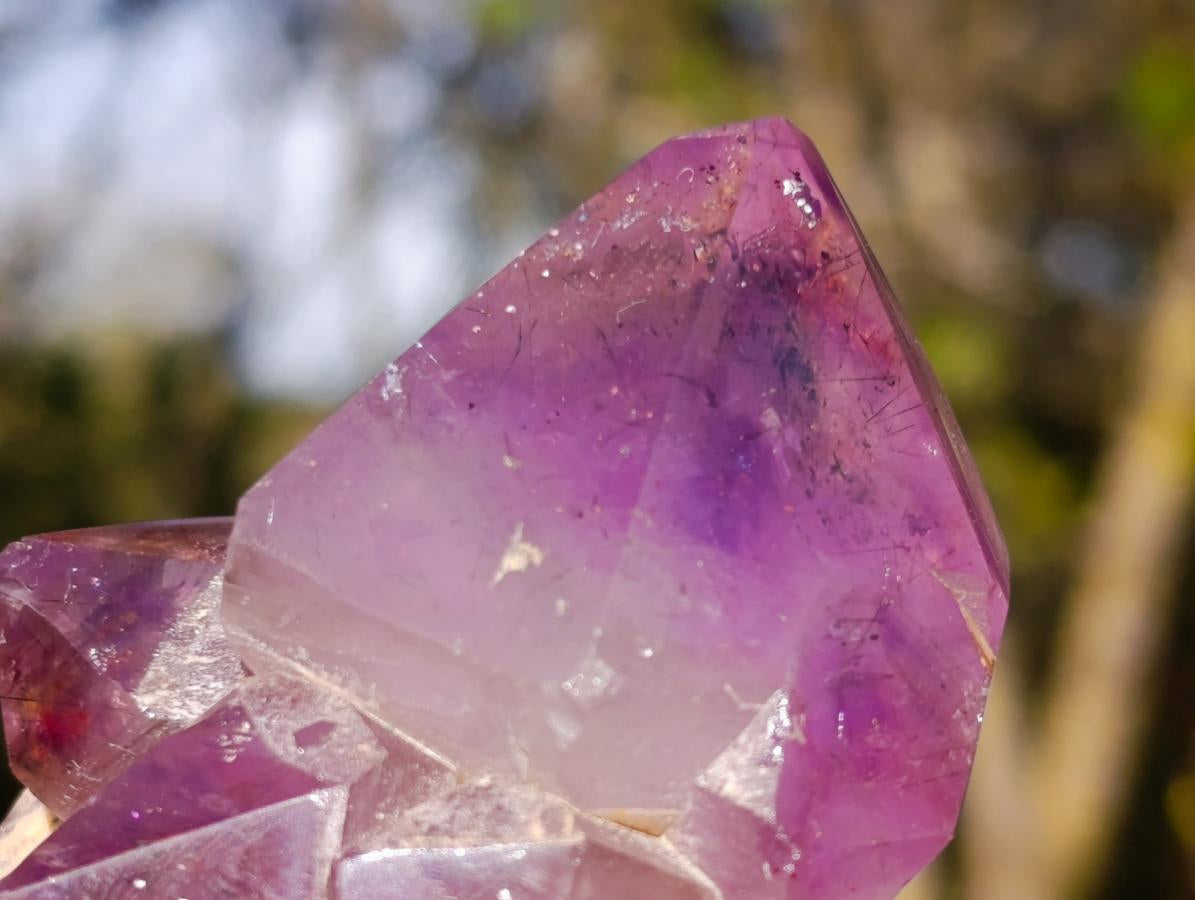 Polished Flower Amethyst Cluster x 1 From Ambatondrazaka, Madagascar