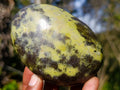 Polished XL Leopard Stone Free Form Palm Stone x 1 From Nyanga, Zimbabwe