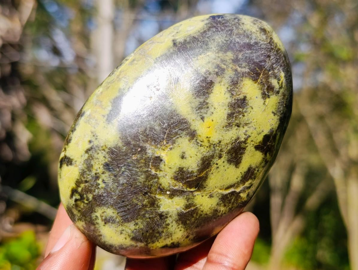 Polished XL Leopard Stone Free Form Palm Stone x 1 From Nyanga, Zimbabwe