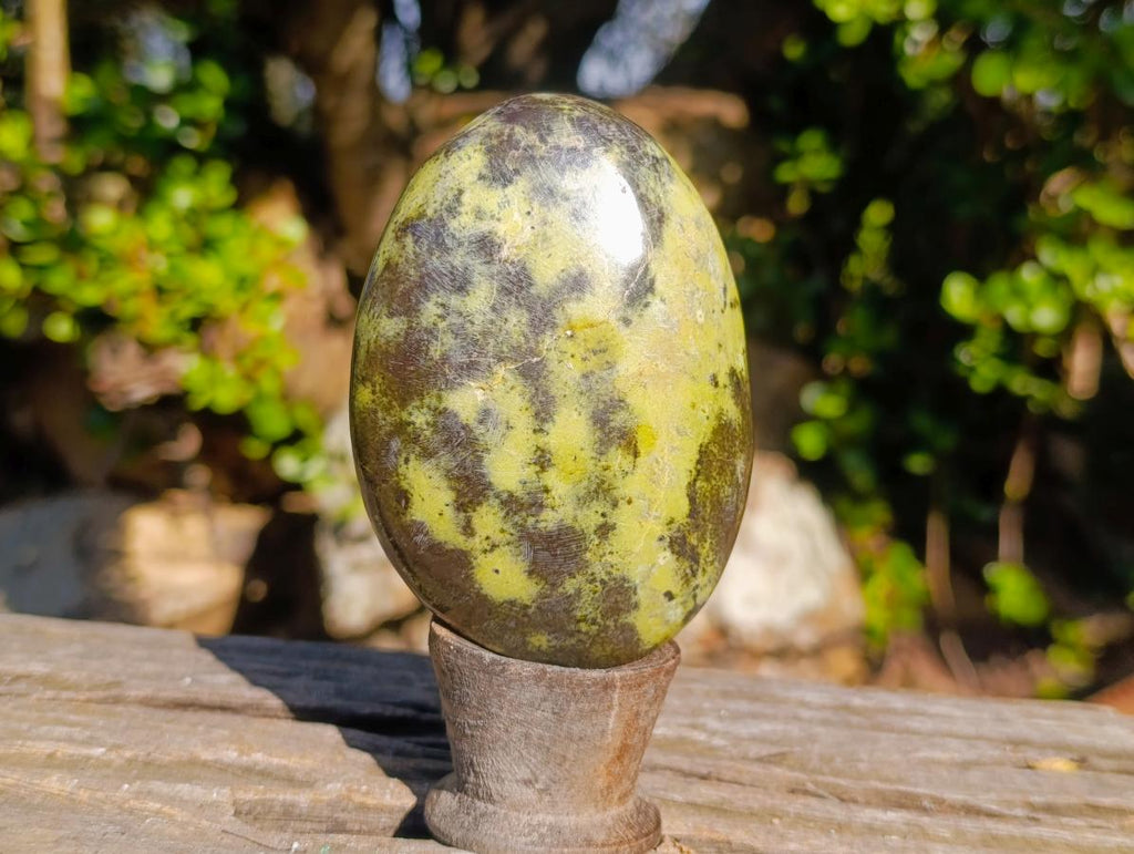 Polished XL Leopard Stone Free Form Palm Stone x 1 From Nyanga, Zimbabwe
