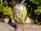 Polished XL Leopard Stone Free Form Palm Stone x 1 From Nyanga, Zimbabwe