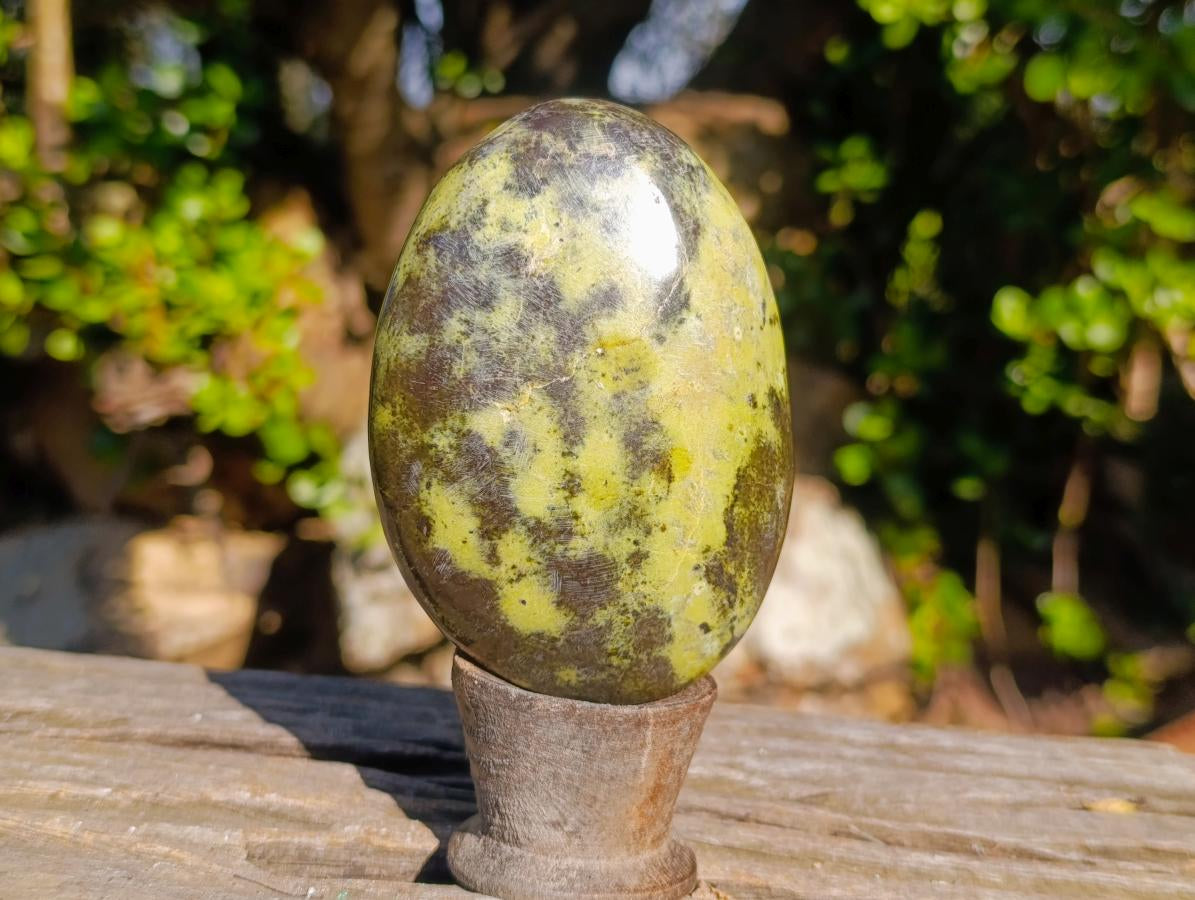 Polished XL Leopard Stone Free Form Palm Stone x 1 From Nyanga, Zimbabwe