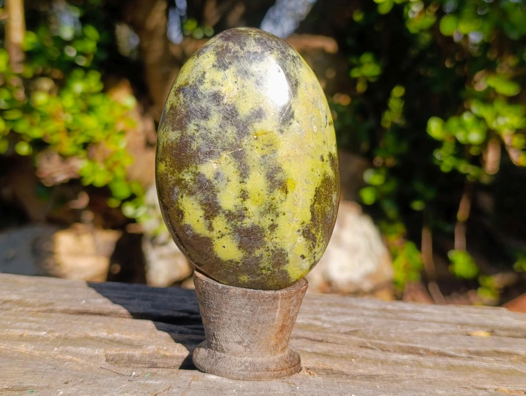 Polished XL Leopard Stone Free Form Palm Stone x 1 From Nyanga, Zimbabwe