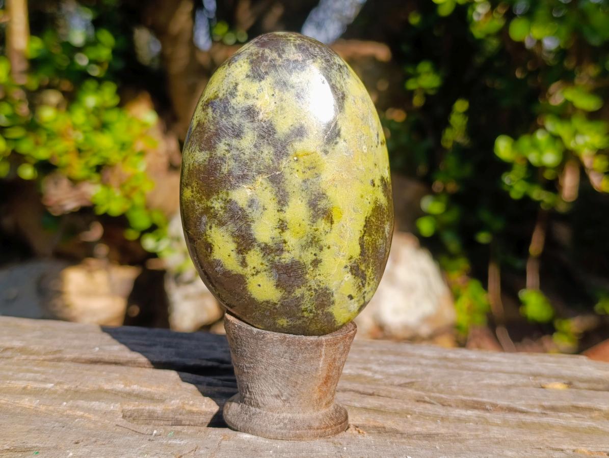 Polished XL Leopard Stone Free Form Palm Stone x 1 From Nyanga, Zimbabwe