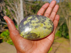 Polished XL Leopard Stone Free Form Palm Stone x 1 From Nyanga, Zimbabwe