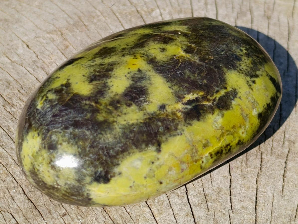 Polished XL Leopard Stone Free Form Palm Stone x 1 From Nyanga, Zimbabwe