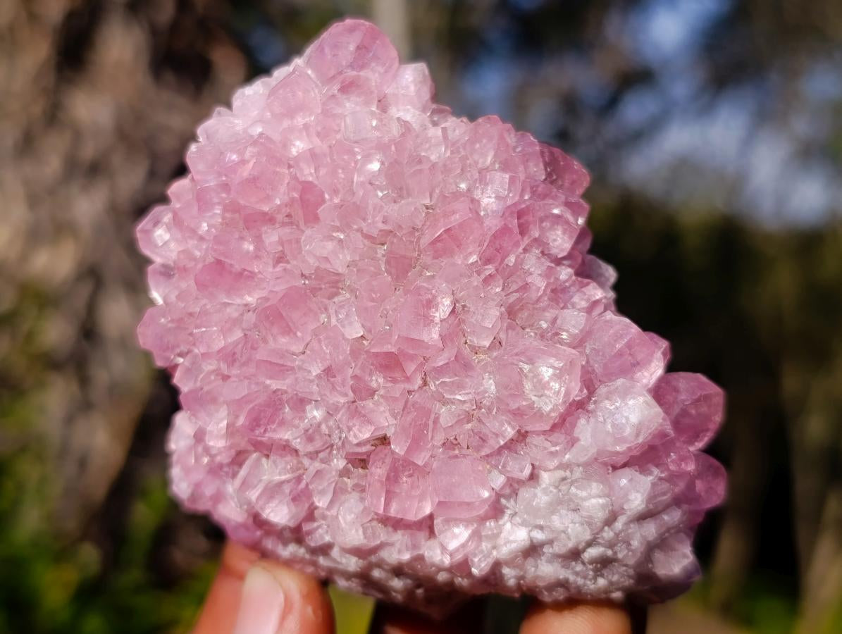 Natural Cabinet Size Rare Cobaltoan Rhodocalcite Specimen x 1 From Mashamba West Mine, Congo
