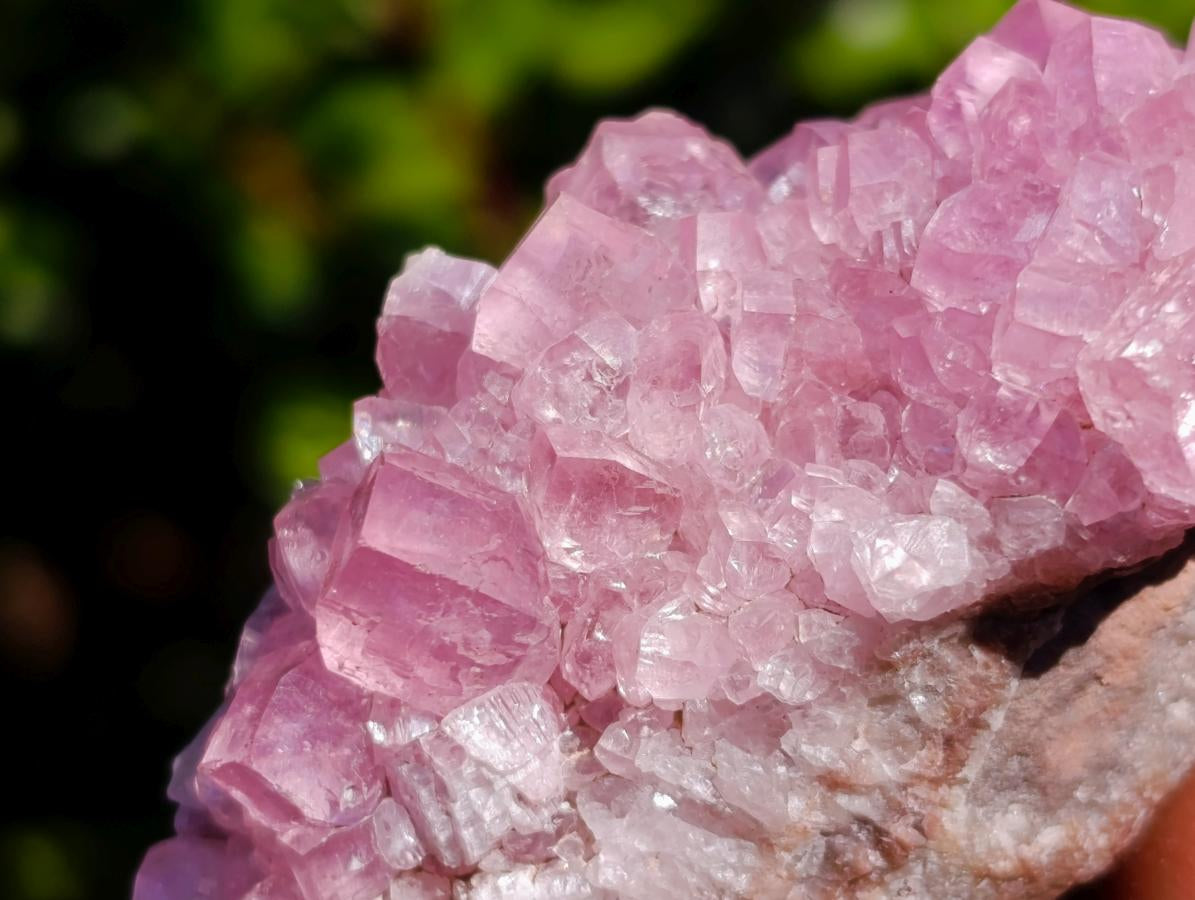 Natural Cabinet Size Rare Cobaltoan Rhodocalcite Specimen x 1 From Mashamba West Mine, Congo