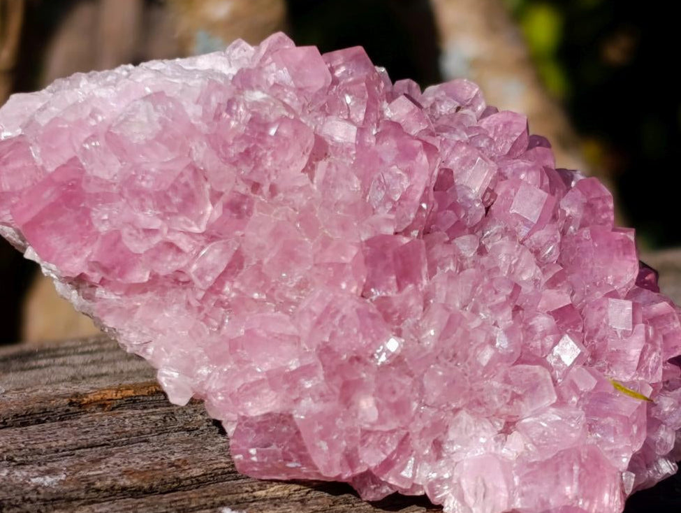 Natural Cabinet Size Rare Cobaltoan Rhodocalcite Specimen x 1 From Mashamba West Mine, Congo
