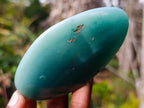 Polished Mtorolite Emerald Chrysoprase Palm Stone x 1 From Mutorashanga, Zimbabwe