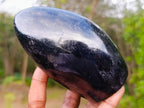 Polished Schorl Black Tourmaline Standing Display Piece x 1 From Madagascar