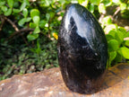 Polished Schorl Black Tourmaline Standing Display Piece x 1 From Madagascar