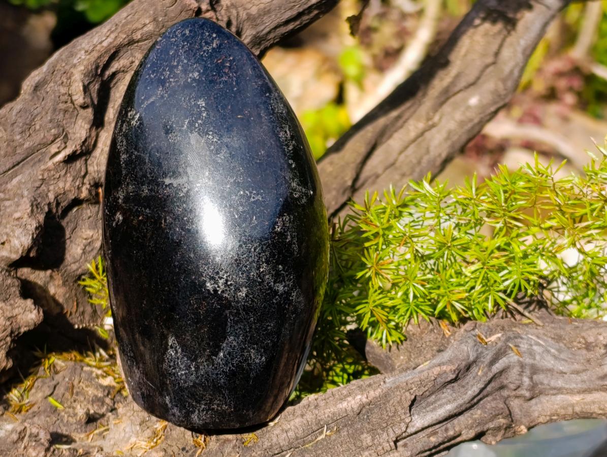 Polished Schorl Black Tourmaline Standing Display Piece x 1 From Madagascar