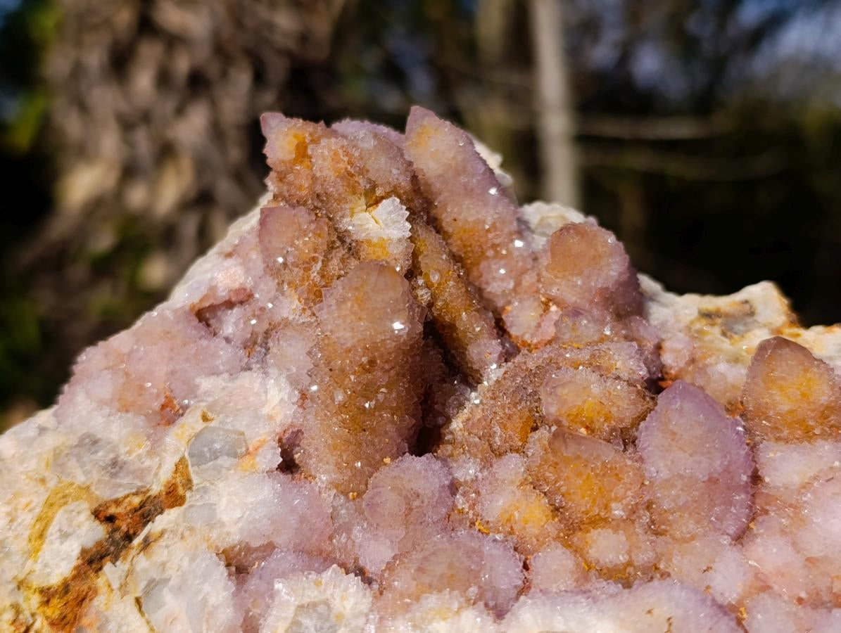Natural Large Spirit Ametrine Cluster x 1 From Boekenhouthoek, South Africa