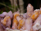 Natural Large Spirit Ametrine Cluster x 1 From Boekenhouthoek, South Africa