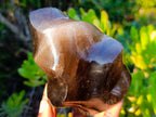 Polished Smokey Morion Quartz Crystal Flame x 1 From Madagascar