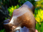 Polished Smokey Morion Quartz Crystal Flame x 1 From Madagascar