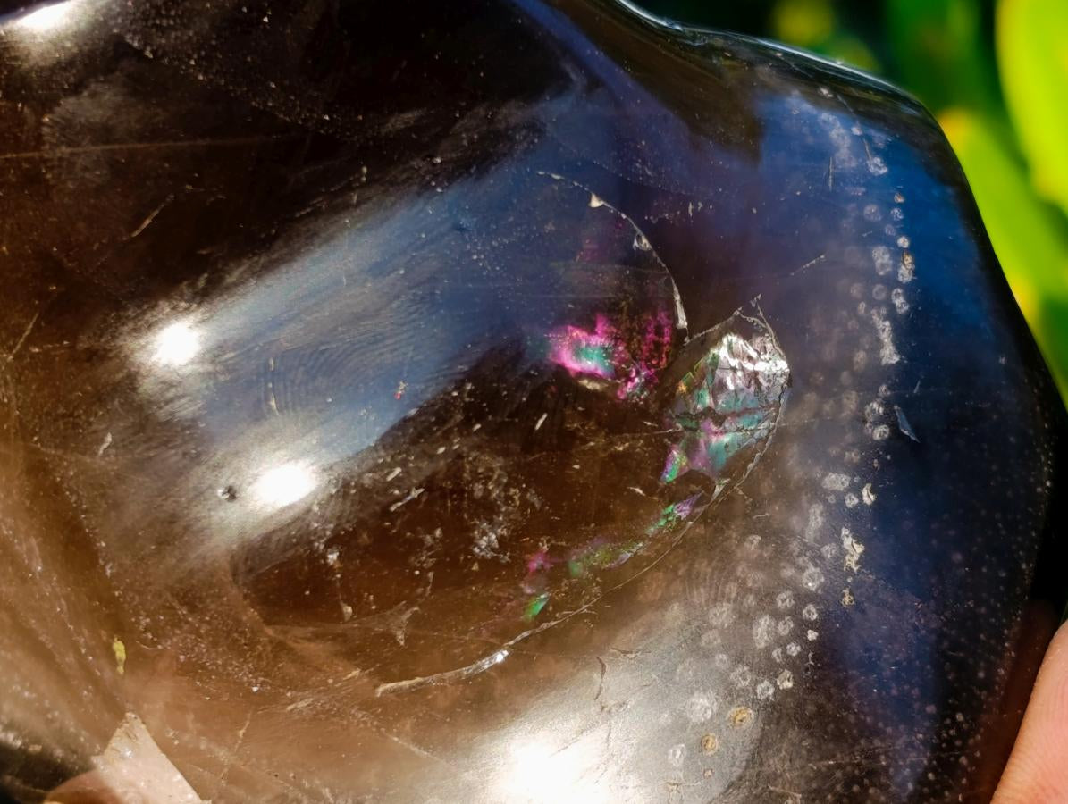 Polished Smokey Morion Quartz Crystal Flame x 1 From Madagascar