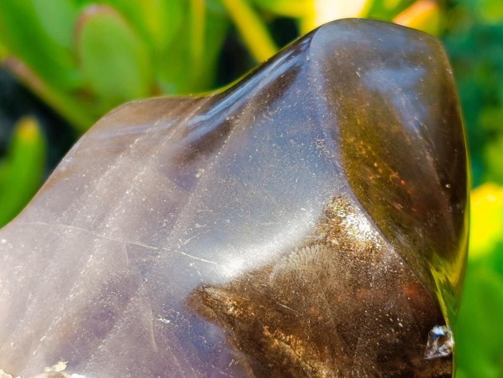 Polished Smokey Morion Quartz Crystal Flame x 1 From Madagascar