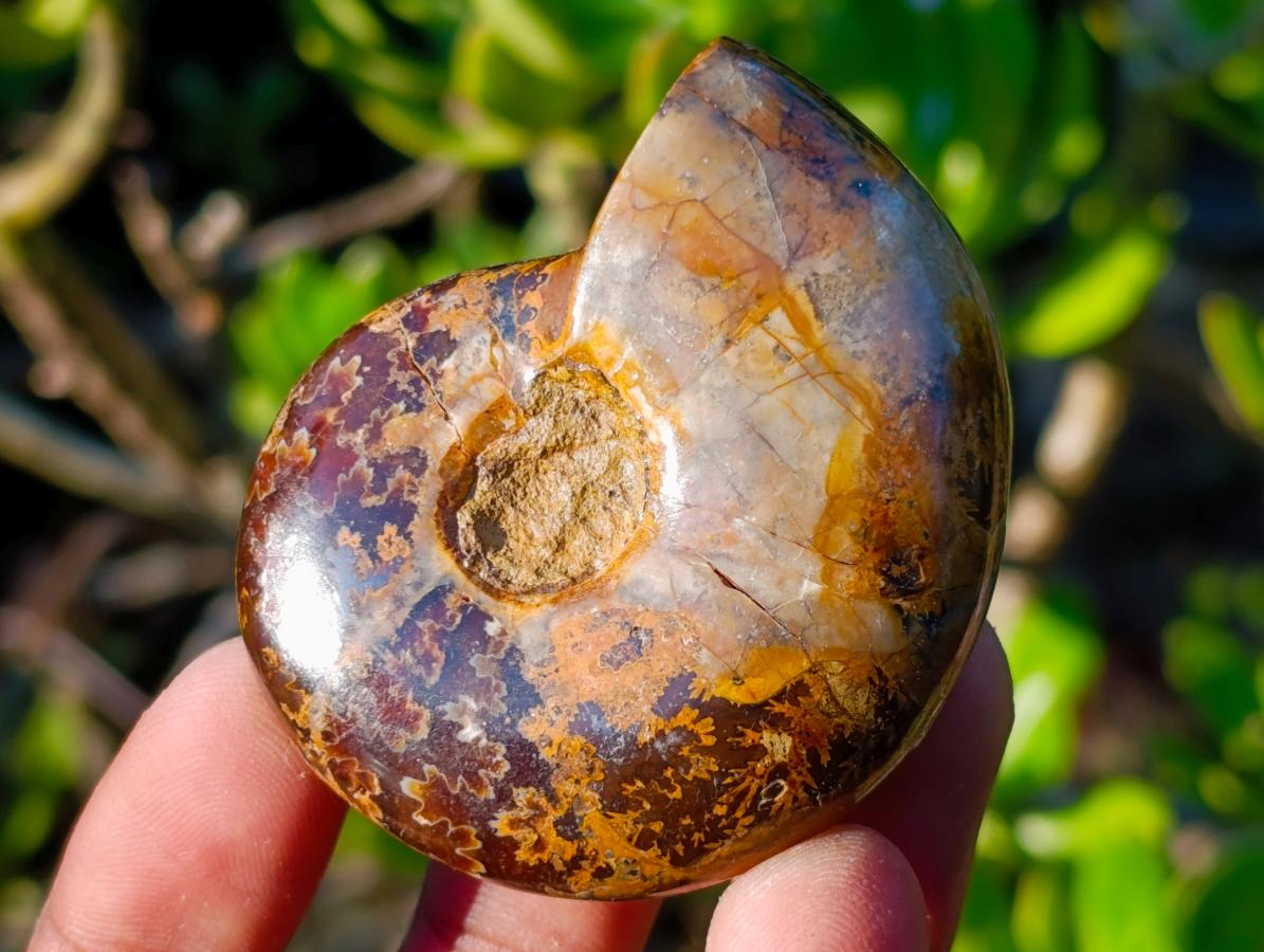 Polished Mix of African Minerals and Crystal Set of 12 x 1 From Southern Africa