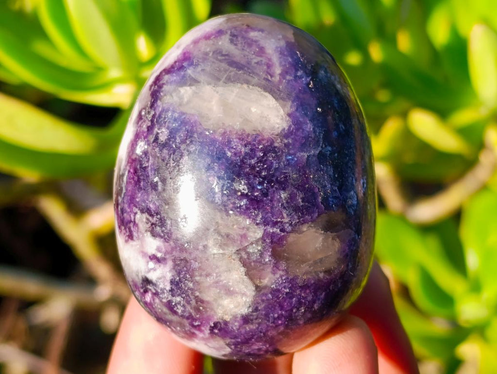 Polished Mix of African Minerals and Crystal Set of 12 x 1 From Southern Africa