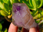 Polished Mix of African Minerals and Crystal Set of 12 x 1 From Southern Africa