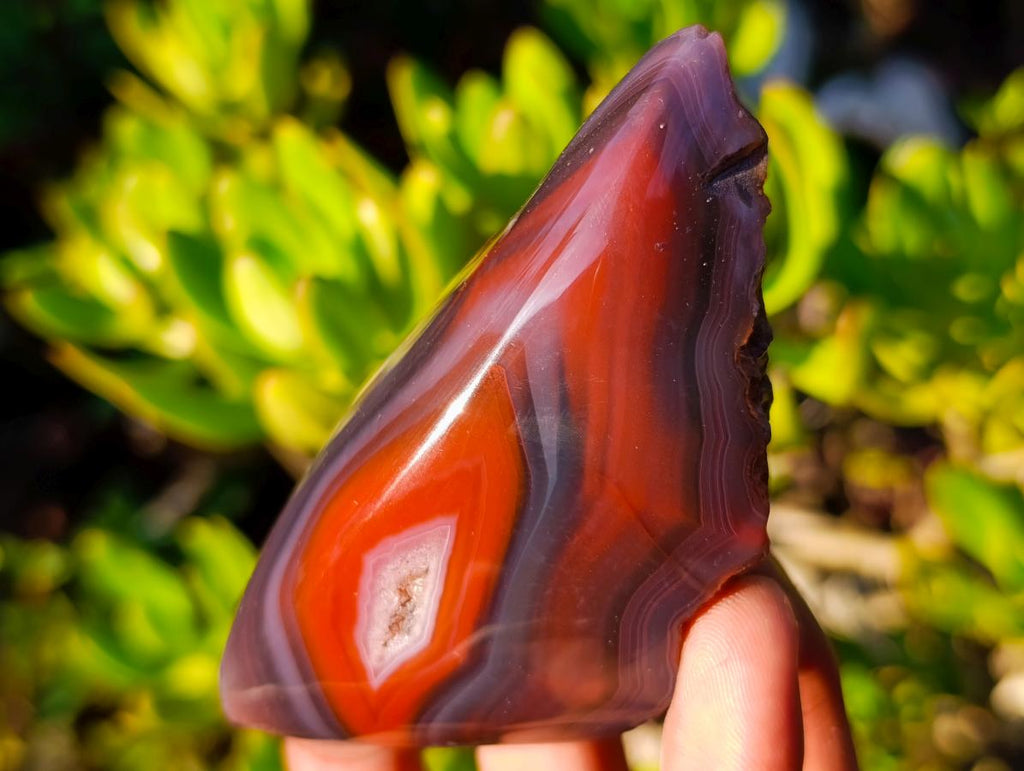 Polished Mix of African Minerals and Crystal Set of 12 x 1 From Southern Africa