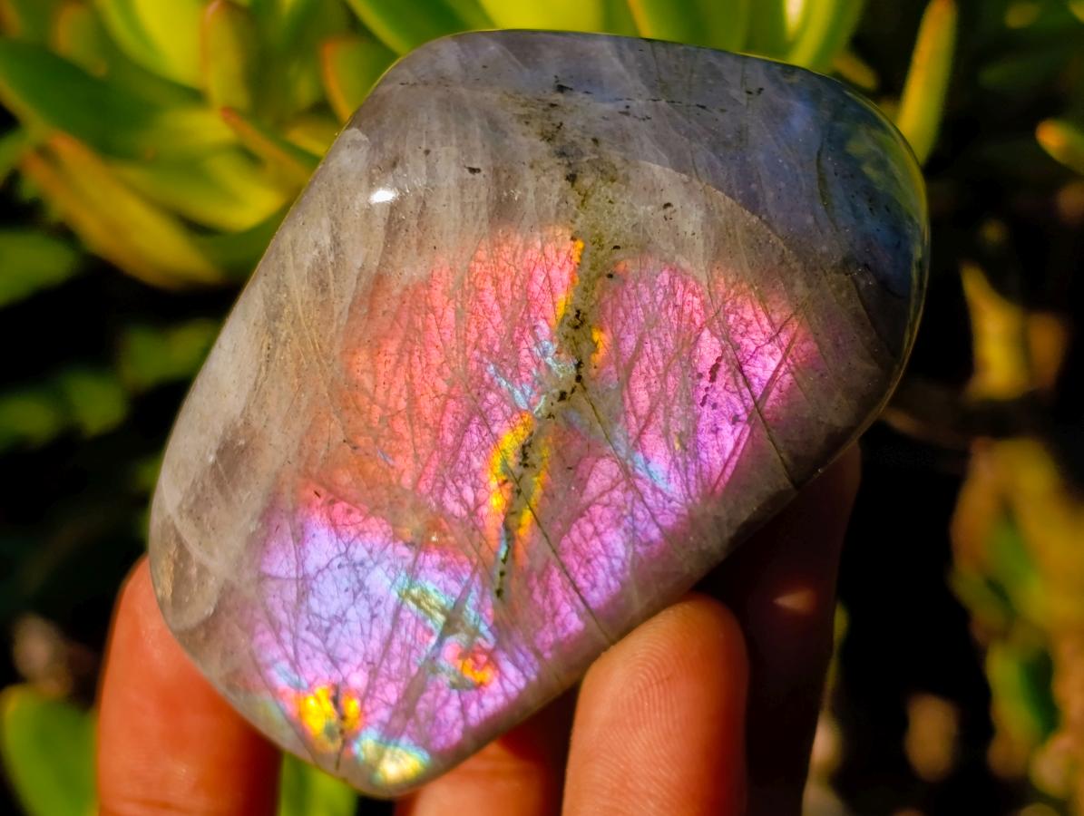 Polished Mix of African Minerals and Crystal Set of 12 x 1 From Southern Africa