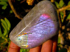 Polished Mix of African Minerals and Crystal Set of 12 x 1 From Southern Africa
