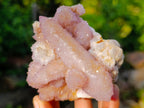 Natural Rare Double Terminated Spirit Amethyst Crystal on Cluster x 1 From Boekenhouthoek, South Africa