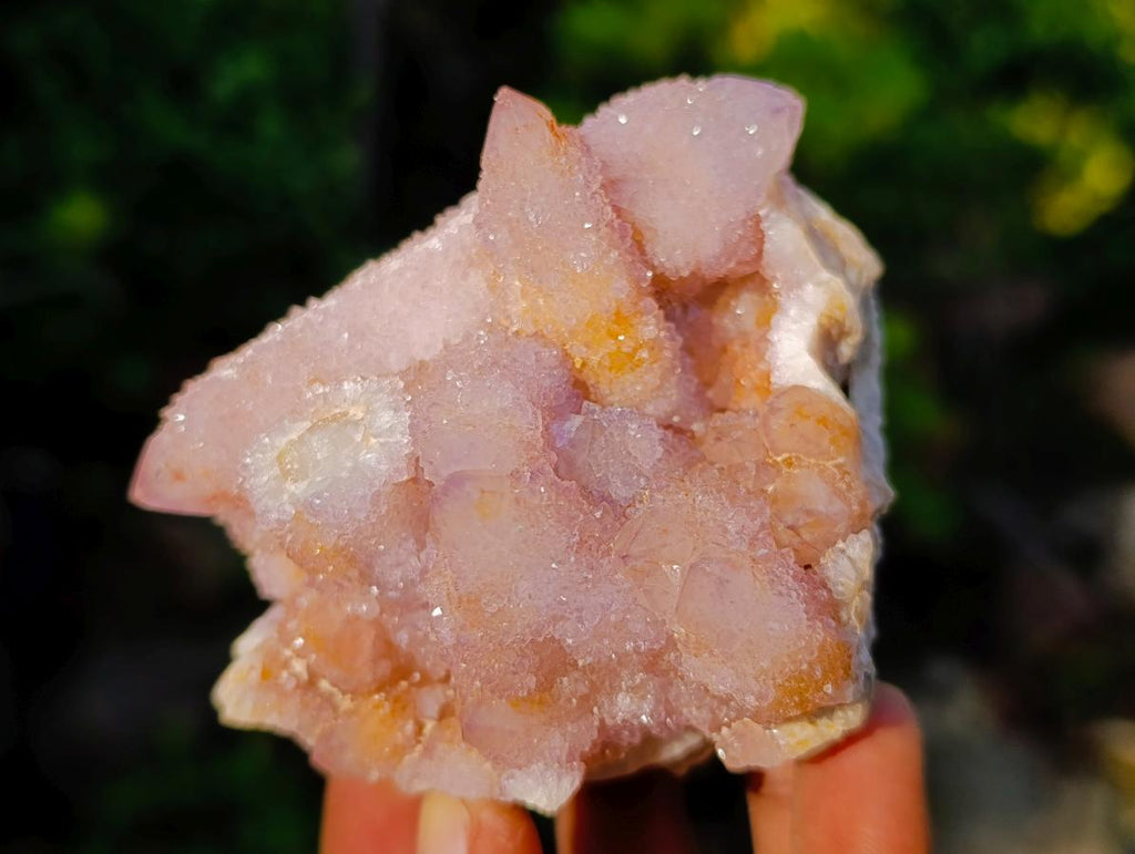 Natural Rare Double Terminated Spirit Amethyst Crystal on Cluster x 1 From Boekenhouthoek, South Africa