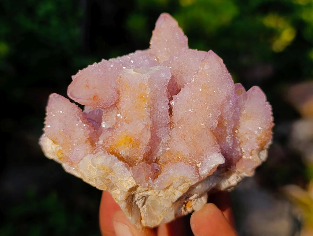 Natural Rare Double Terminated Spirit Amethyst Crystal on Cluster x 1 From Boekenhouthoek, South Africa