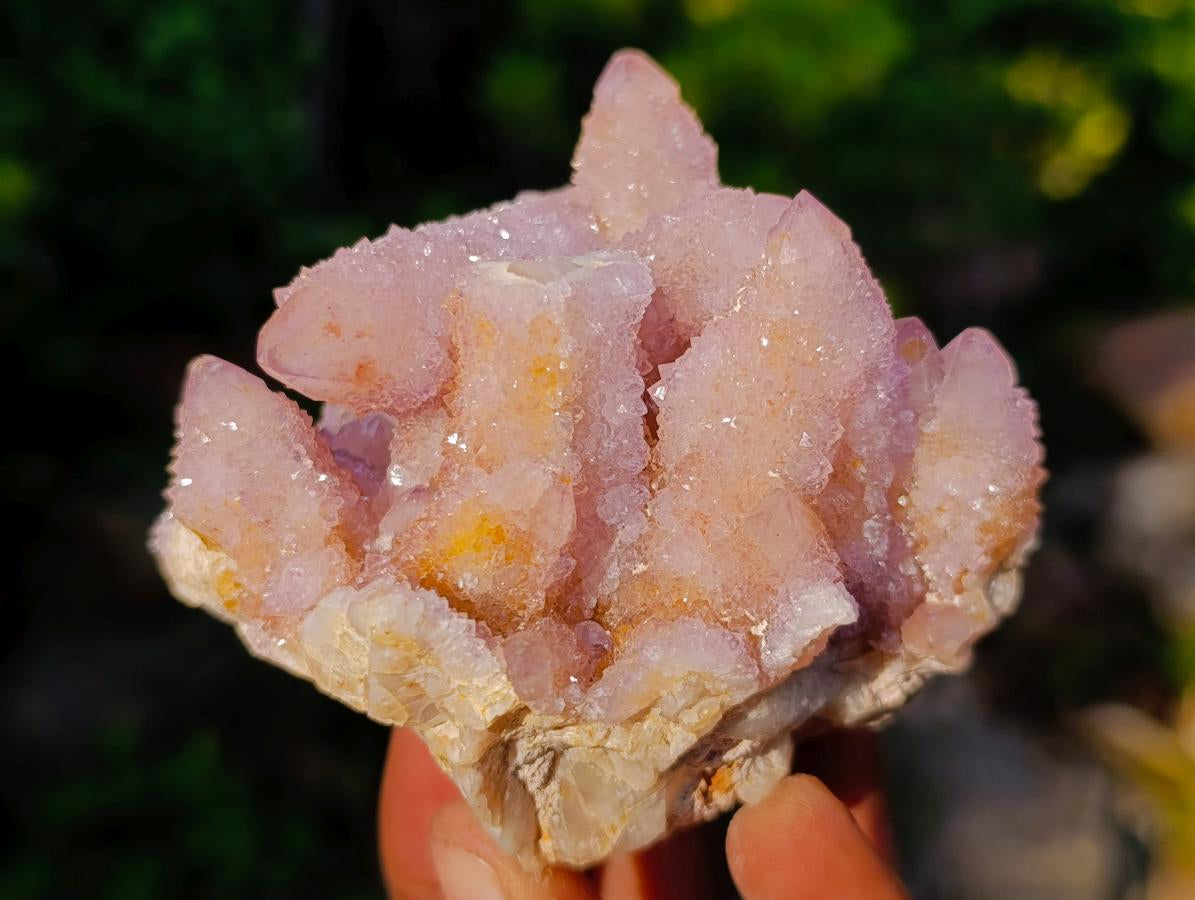 Natural Rare Double Terminated Spirit Amethyst Crystal on Cluster x 1 From Boekenhouthoek, South Africa