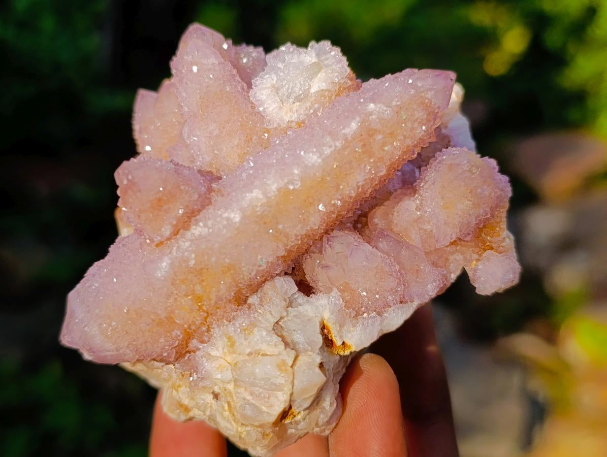 Natural Rare Double Terminated Spirit Amethyst Crystal on Cluster x 1 From Boekenhouthoek, South Africa