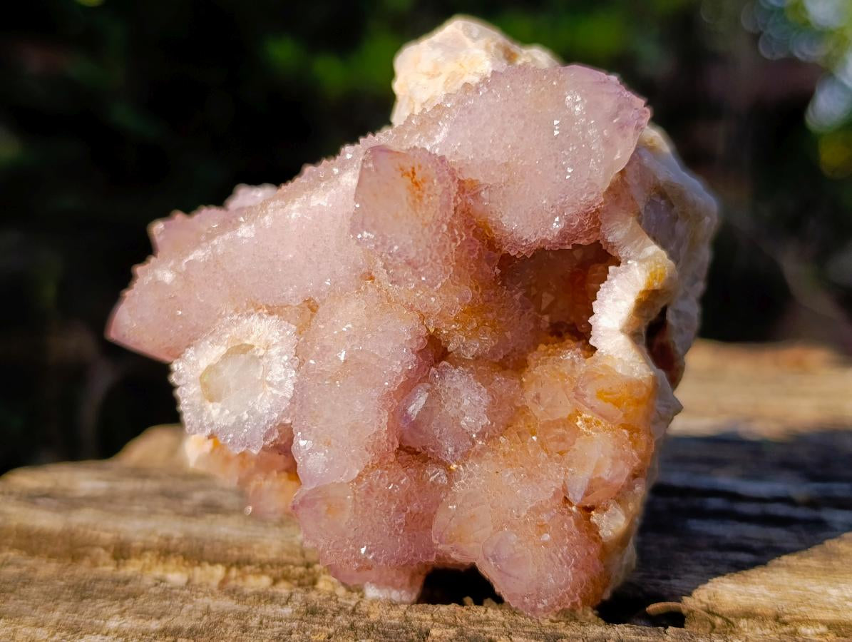 Natural Rare Double Terminated Spirit Amethyst Crystal on Cluster x 1 From Boekenhouthoek, South Africa