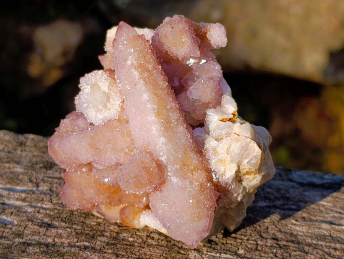Natural Rare Double Terminated Spirit Amethyst Crystal on Cluster x 1 From Boekenhouthoek, South Africa