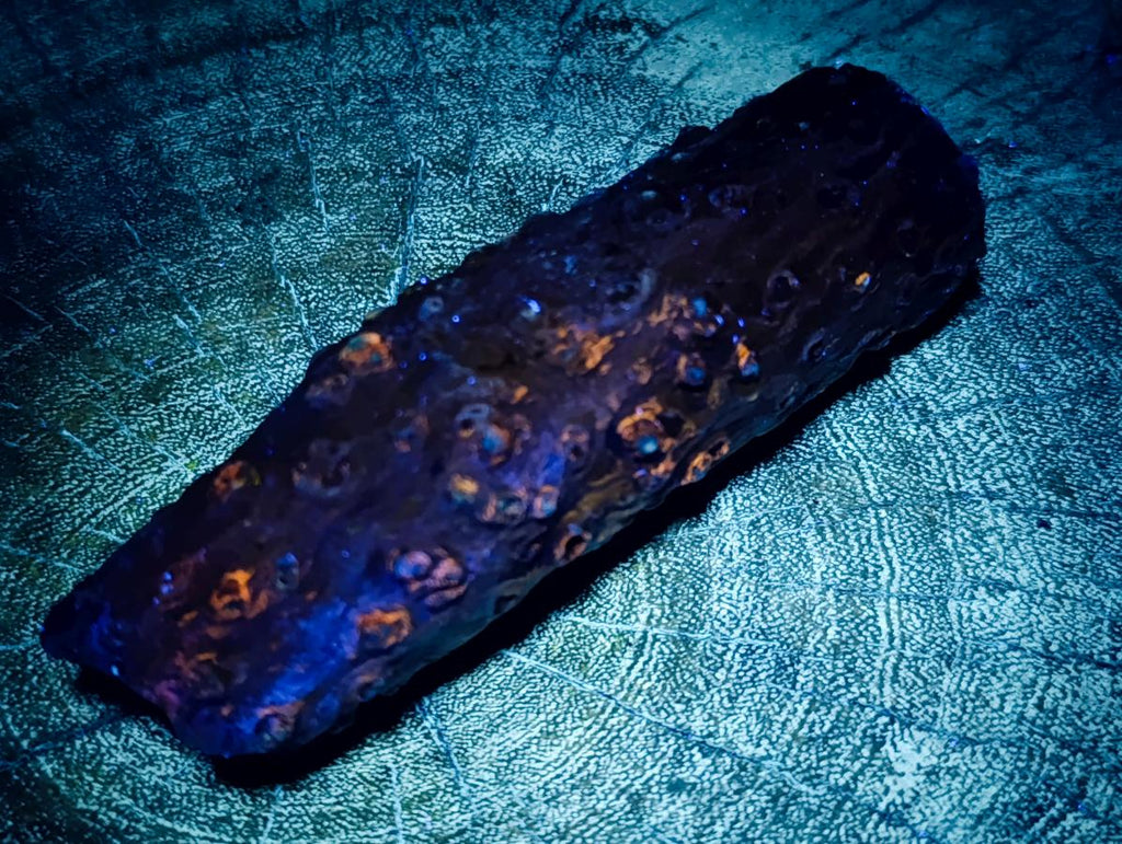 Polished One Side Dadoxylon Petrified Wood Branch x 1 From Gokwe, Zimbabwe