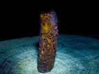 Polished One Side Dadoxylon Petrified Wood Branch x 1 From Gokwe, Zimbabwe
