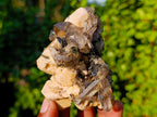 Natural Aegirine Specimen with Smokey Quartz and Orthoclase x 1 From Zomba, Malawi