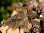 Natural Aegirine Specimen with Smokey Quartz and Orthoclase x 1 From Zomba, Malawi