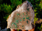 Natural Cabinet Size Silky Malachite Crystals on Smokey Quartz x 1 From Kasompe, Congo