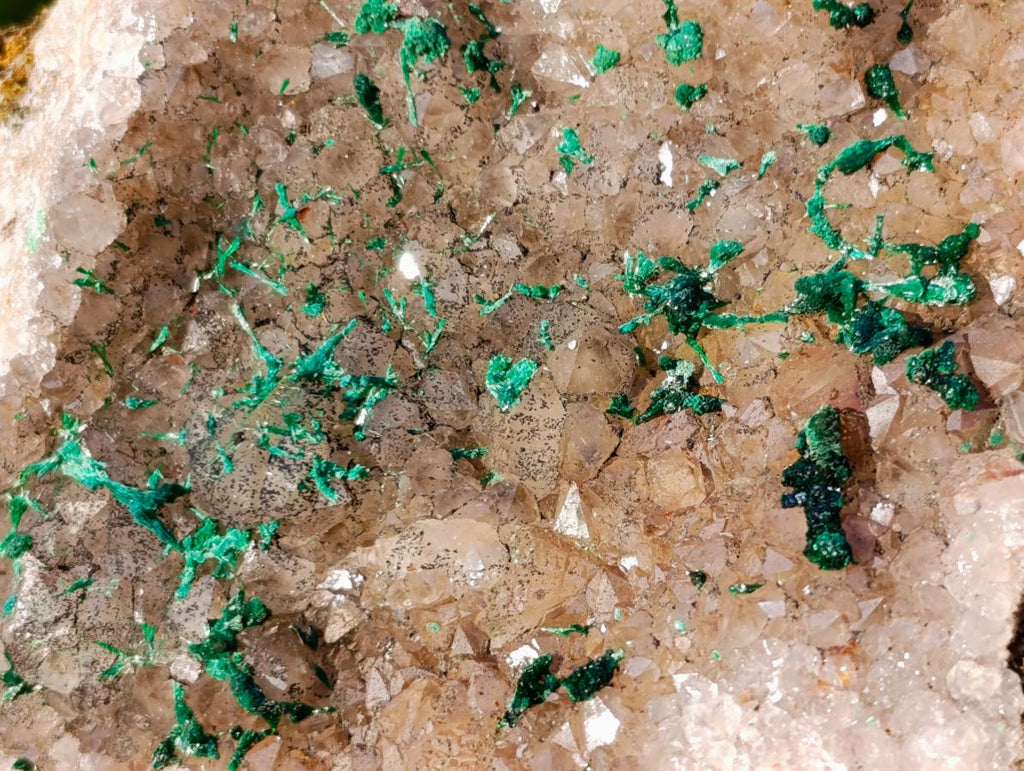 Natural Cabinet Size Silky Malachite Crystals on Smokey Quartz x 1 From Kasompe, Congo