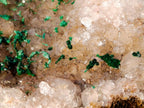 Natural Cabinet Size Silky Malachite Crystals on Smokey Quartz x 1 From Kasompe, Congo