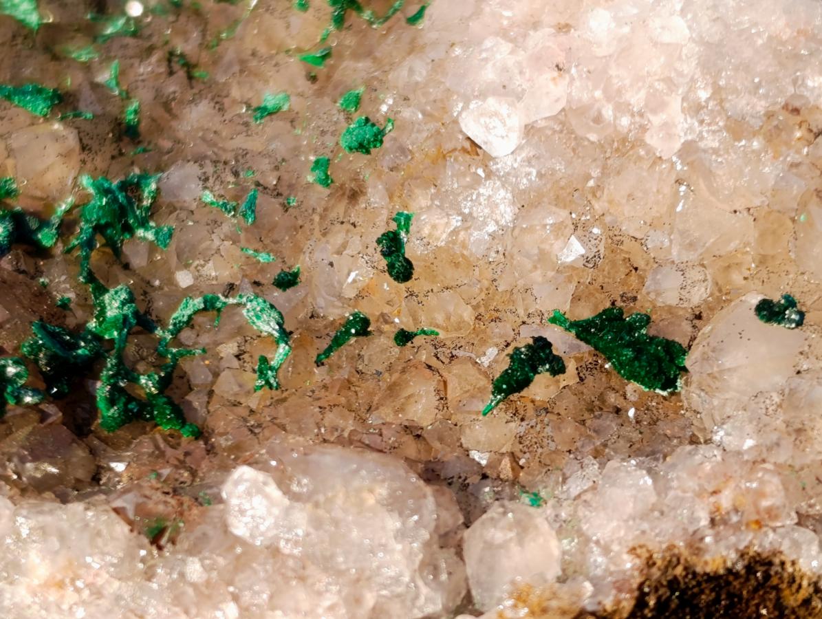 Natural Cabinet Size Silky Malachite Crystals on Smokey Quartz x 1 From Kasompe, Congo